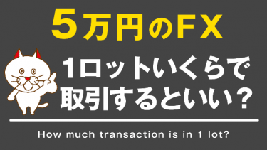 【FX】５万円でFXをするなら1ロットどの位で取引するべきか？